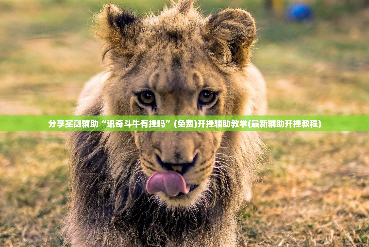 分享实测辅助“讯奇斗牛有挂吗”(免费)开挂辅助教学(最新辅助开挂教程)