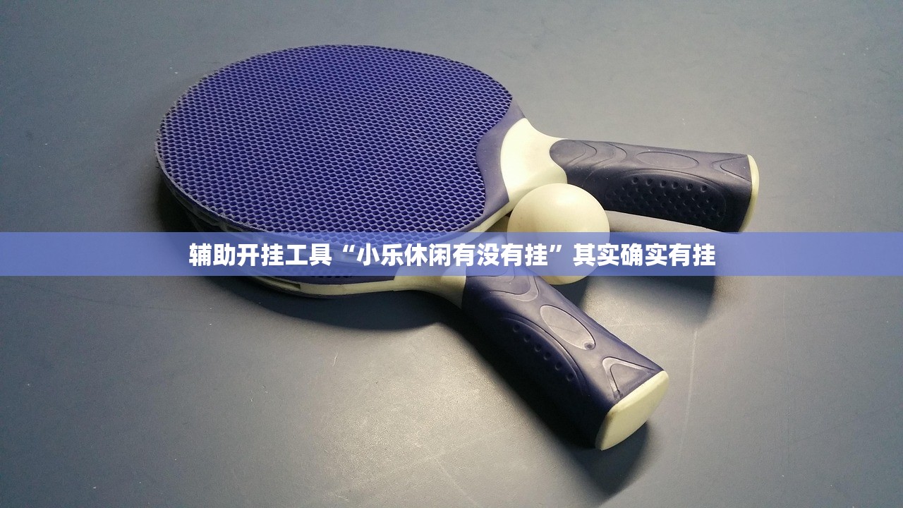 辅助开挂工具“小乐休闲有没有挂”其实确实有挂