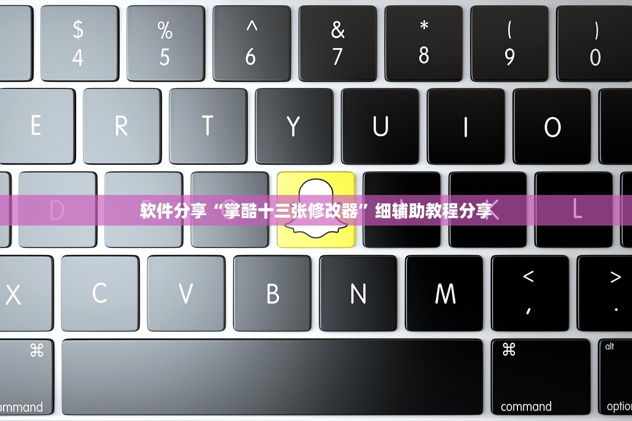 软件分享“掌酷十三张修改器	”细辅助教程分享