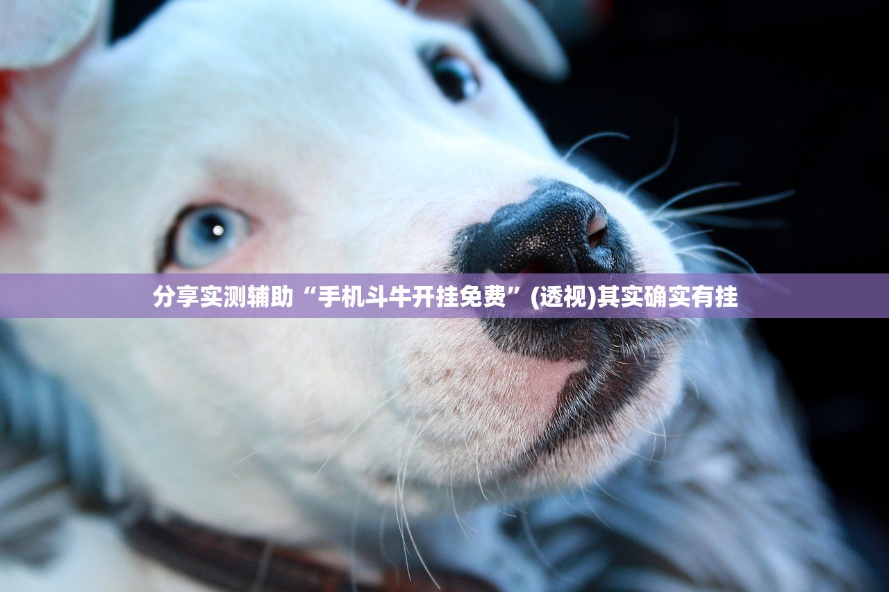 分享实测辅助“手机斗牛开挂免费”(透视)其实确实有挂