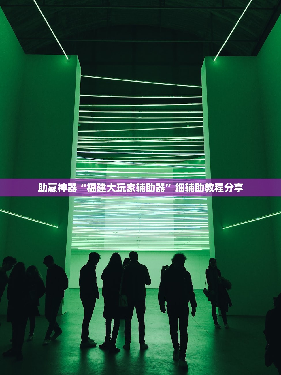 助赢神器“福建大玩家辅助器”细辅助教程分享