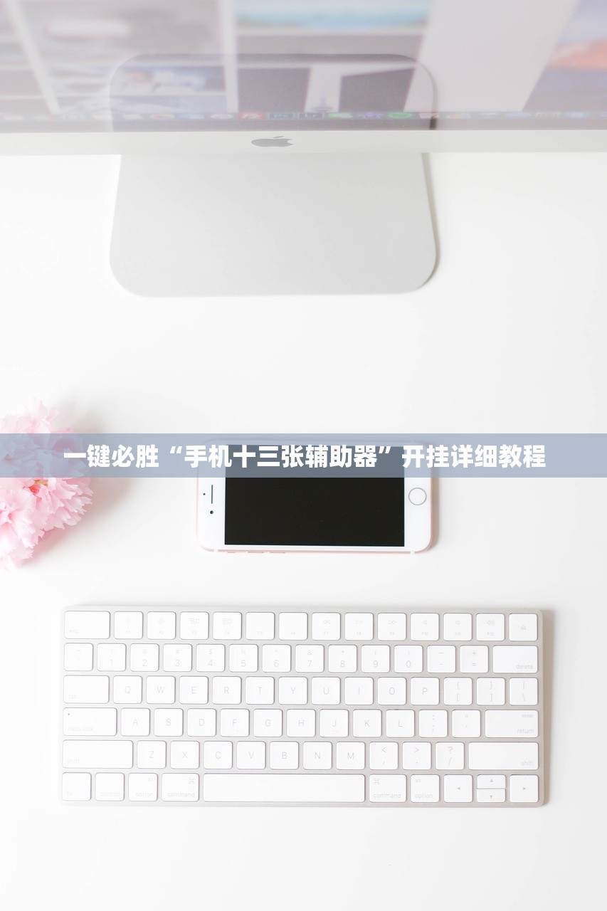 一键必胜“手机十三张辅助器”开挂详细教程