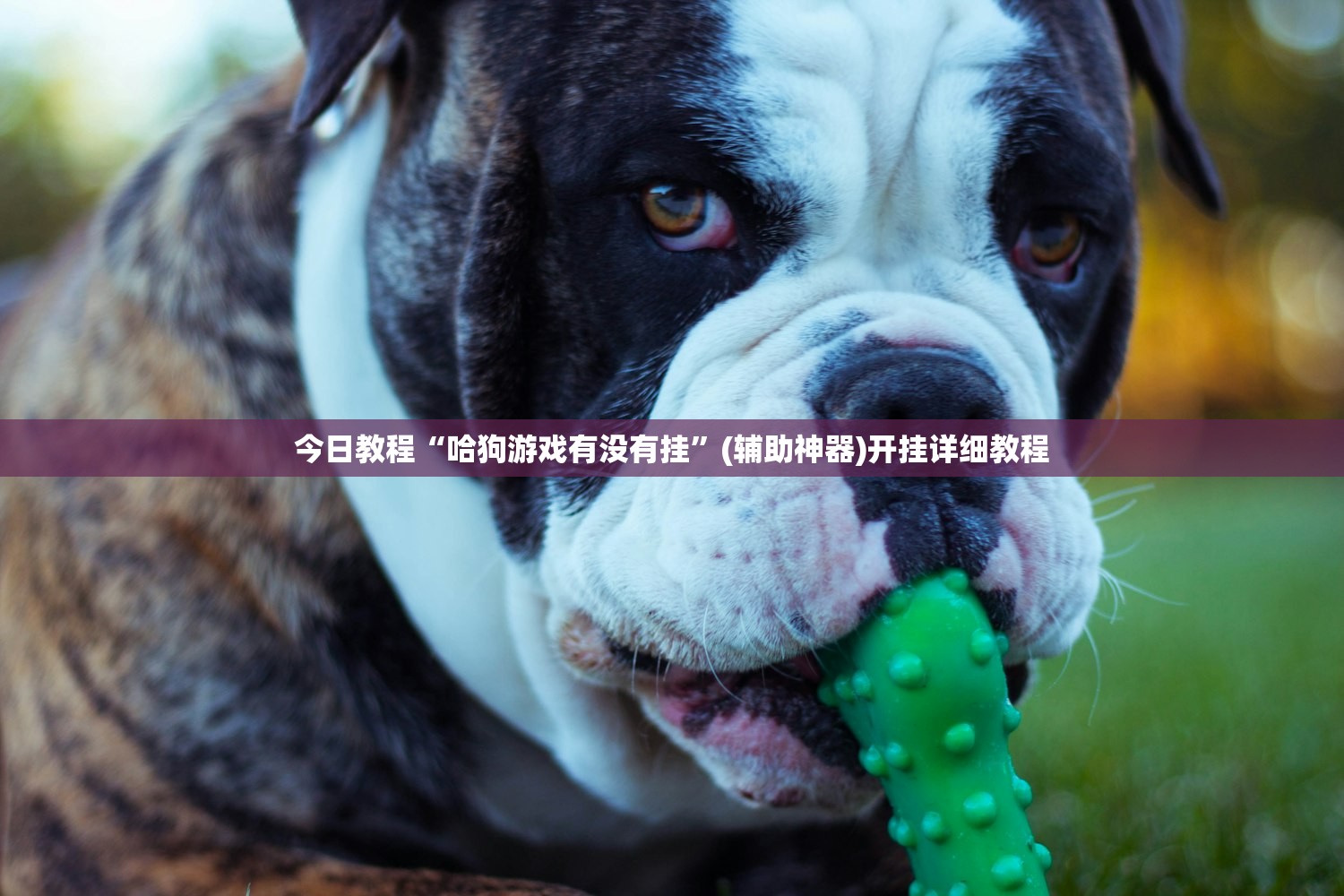 教程更新!：手机微乐河北麻将开挂神器下载”2026开挂教程步骤
