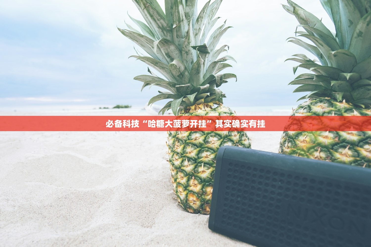 必备科技“哈糖大菠萝开挂	”其实确实有挂