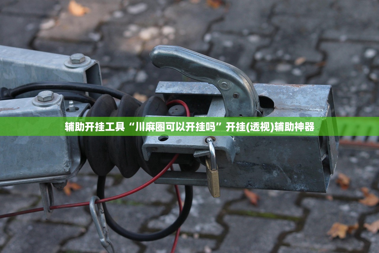 实测辅助“衢州都莱怎么打都是输”详细外挂透视辅助软件教程