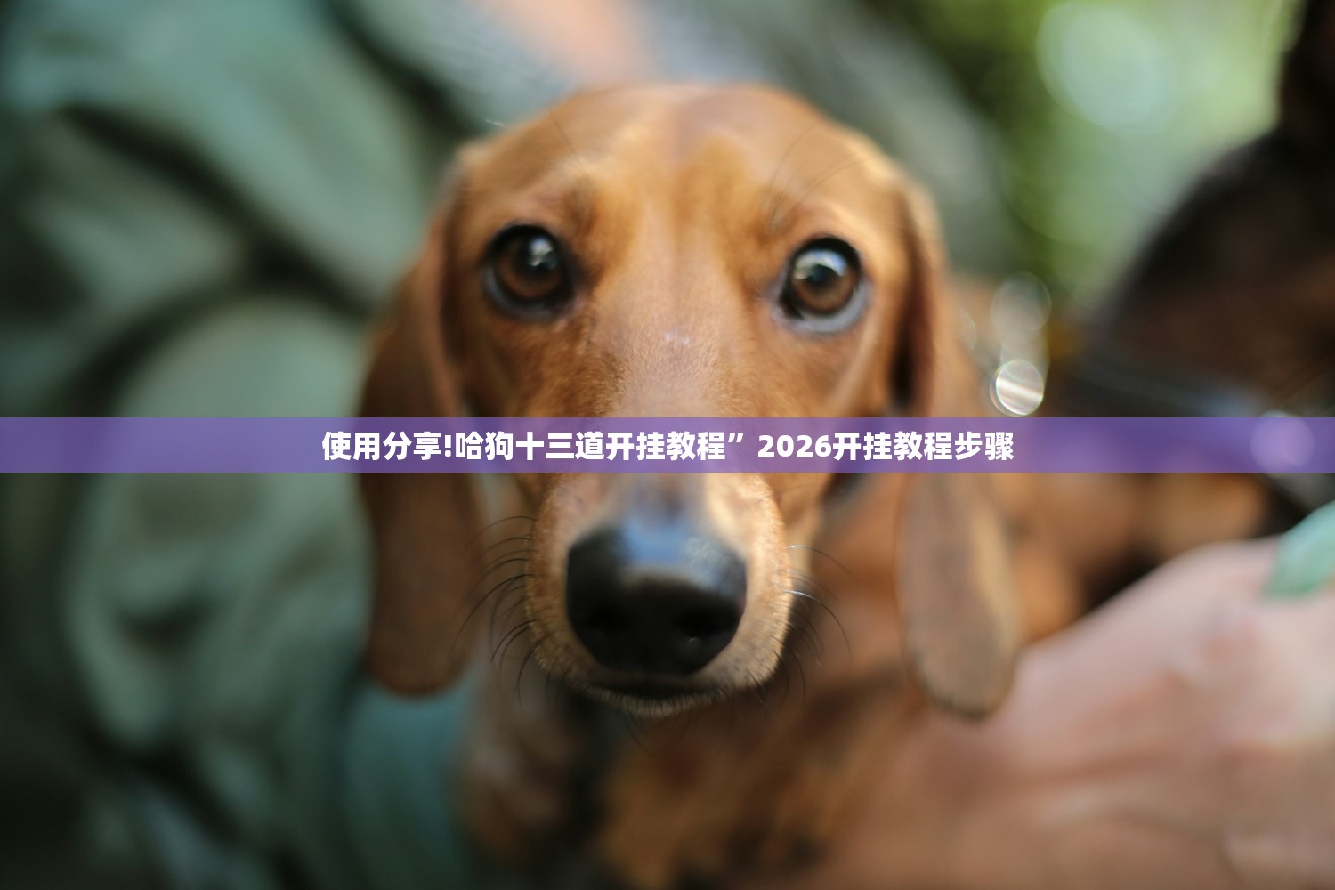 【成都9个区域继续原则居家,成都市居家隔离要求】