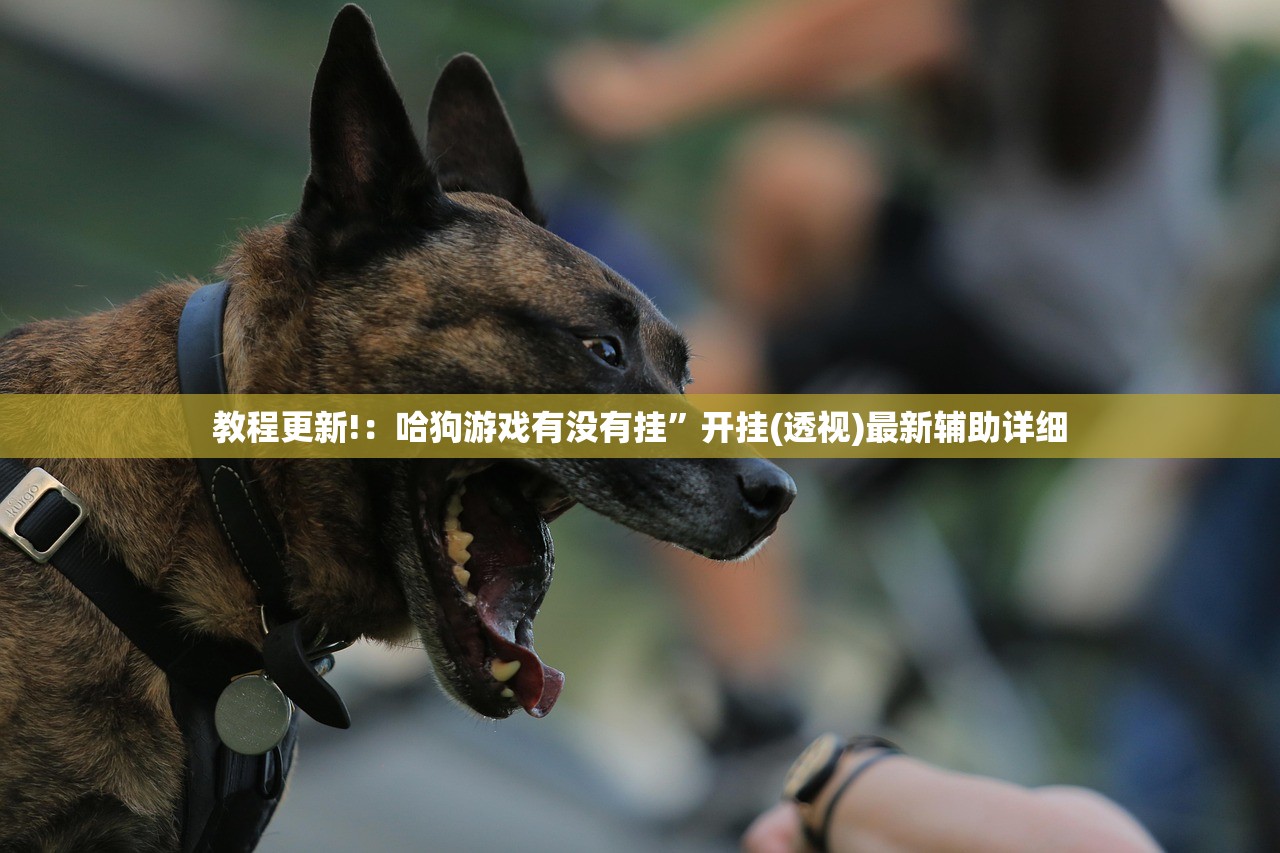 【成都9个区域继续原则居家,成都市居家隔离要求】