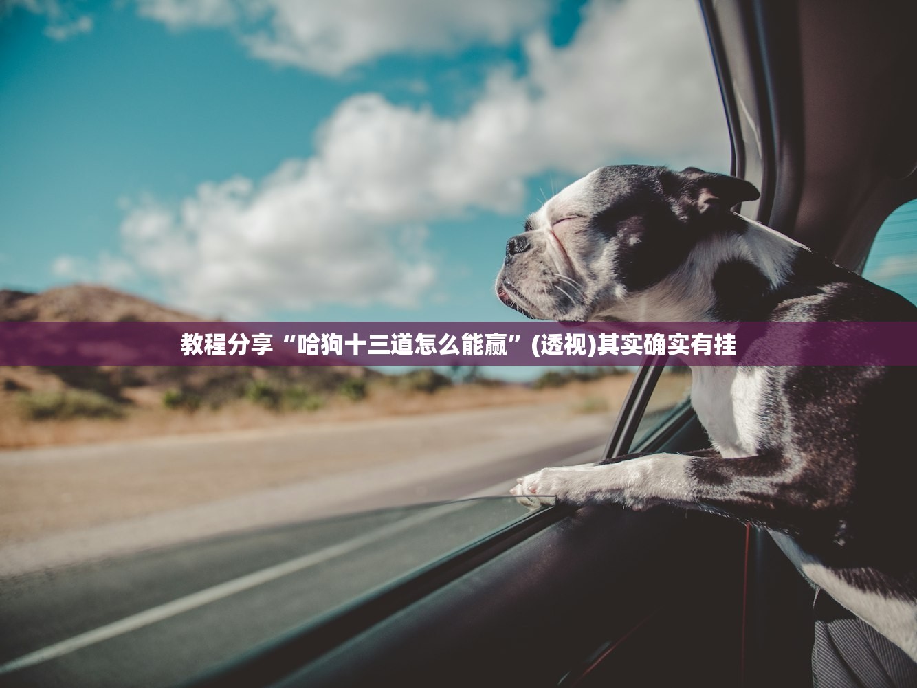 使用分享!开心泉州麻将能控制输赢吗”详细开挂教程