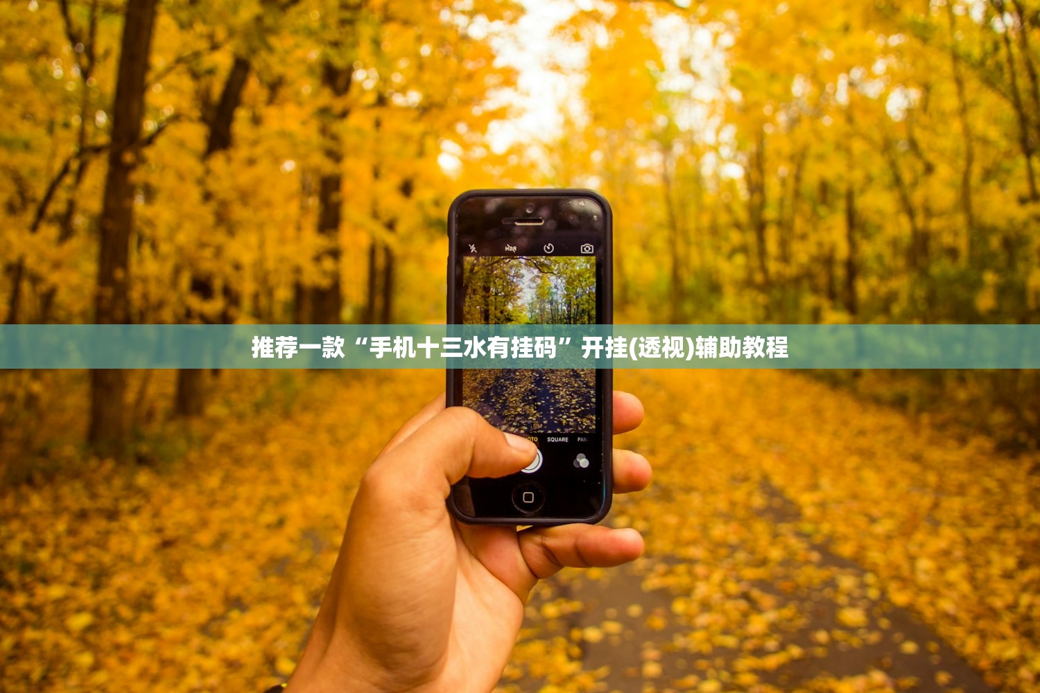 2026首发科技“中至窝龙怎么样才会赢”(免费)开挂辅助教学(最新辅助开挂教程)