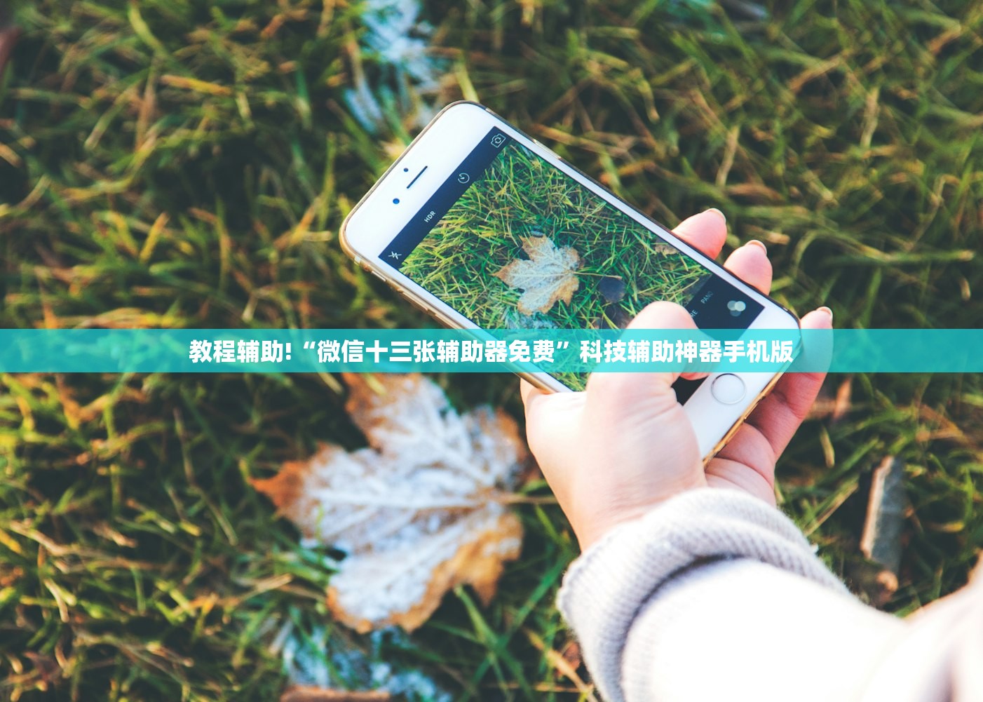 实测神器辅助“微信斗牛有没有挂”其实确实有挂