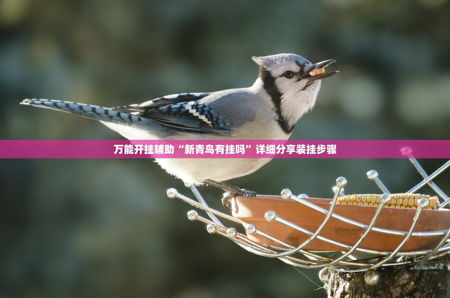 必备科技“微乐海南麻将怎么开挂”细辅助教程分享