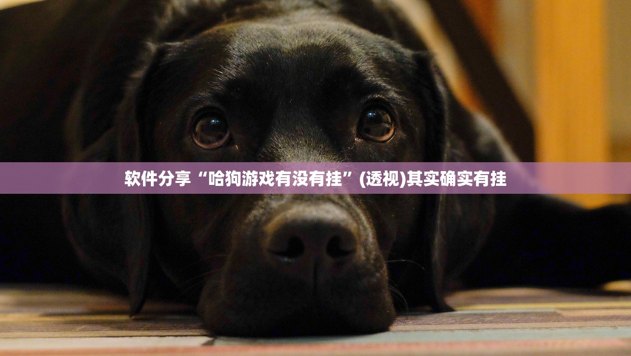 软件分享“哈狗游戏有没有挂”(透视)其实确实有挂