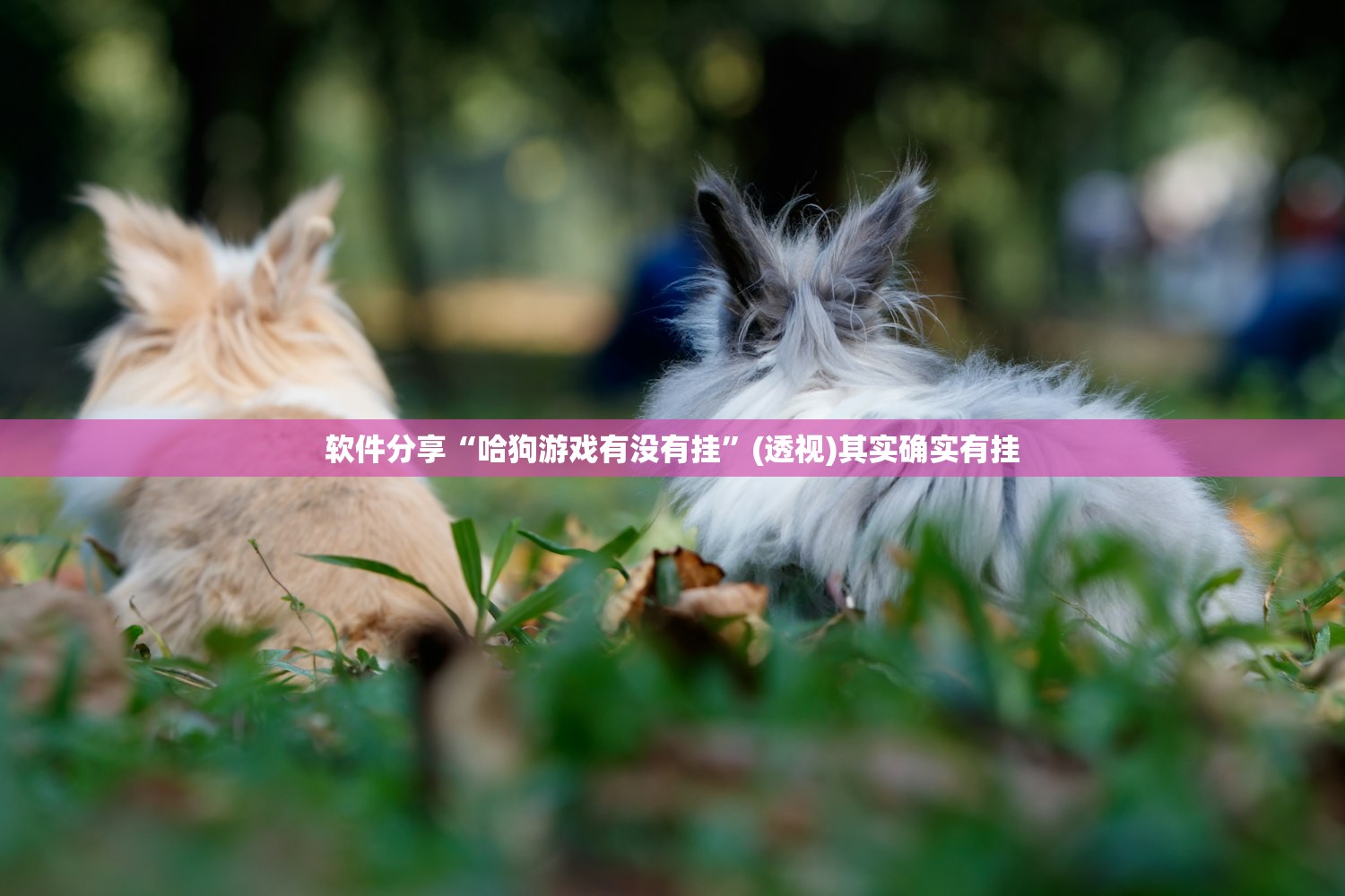 软件分享“哈狗游戏有没有挂	”(透视)其实确实有挂