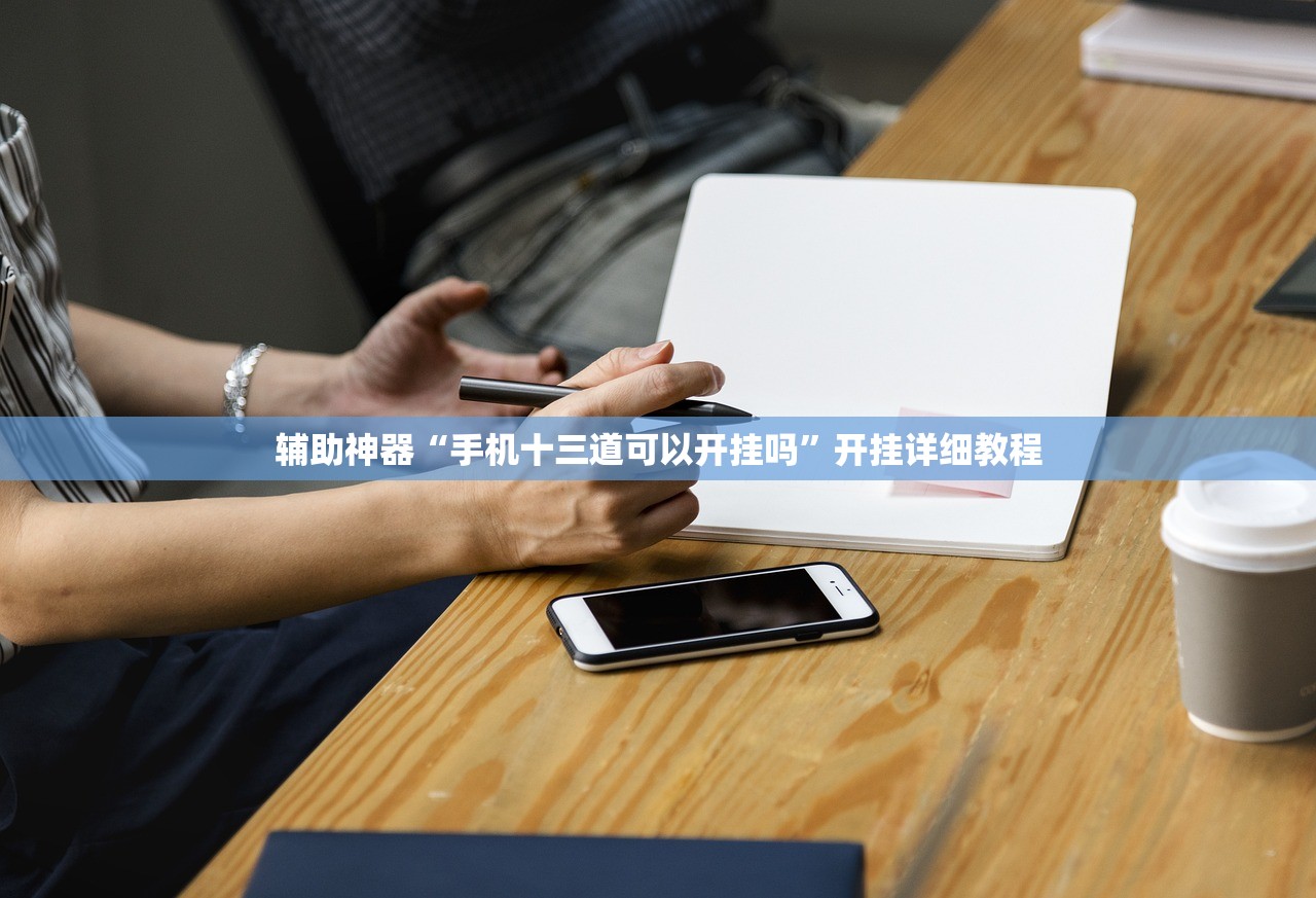 辅助神器“手机十三道可以开挂吗”开挂详细教程