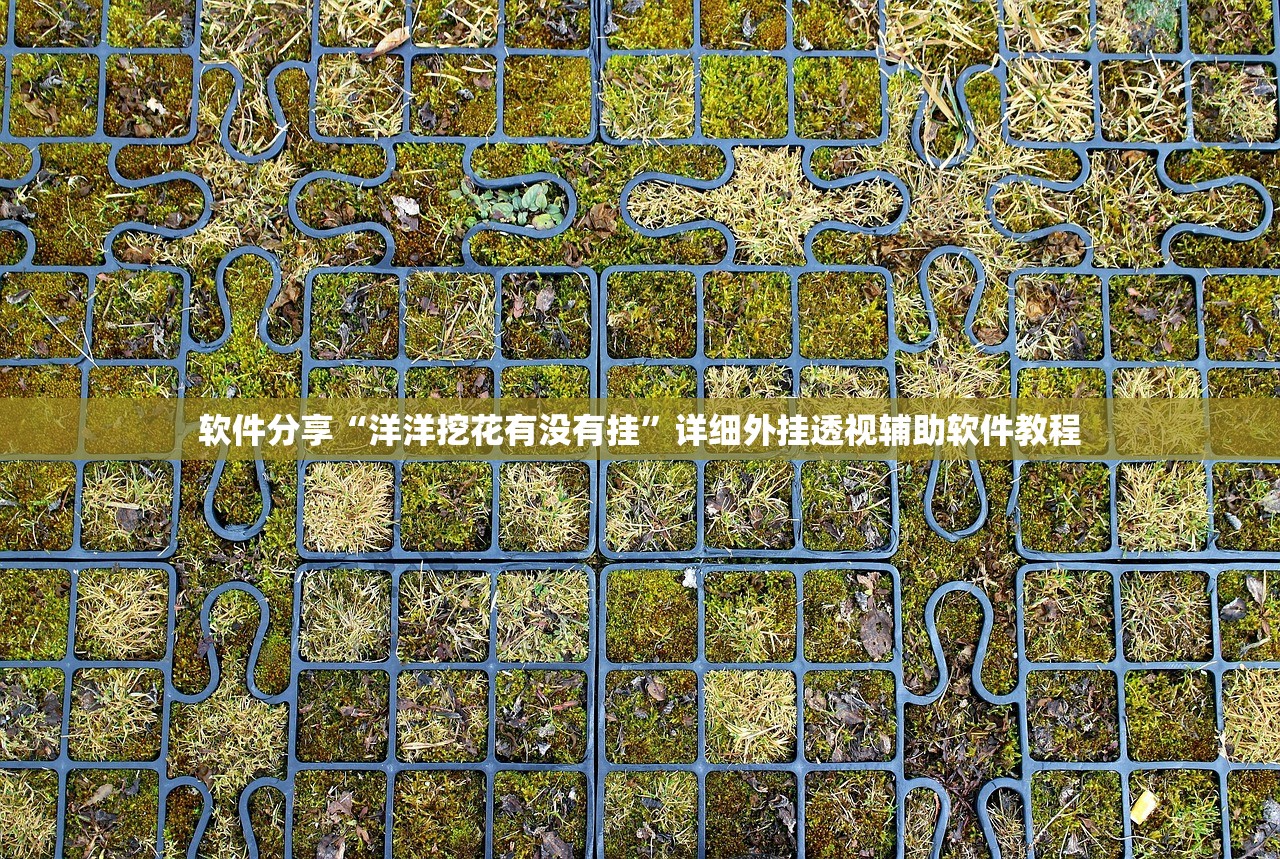 软件分享“洋洋挖花有没有挂”详细外挂透视辅助软件教程