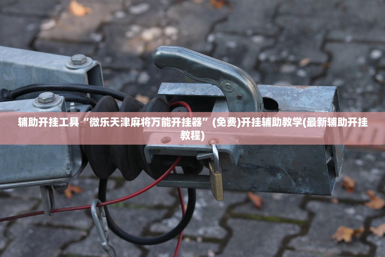 必备科技“大同麻将开挂免费软件(透视)”开挂辅助脚本+详细开挂安装教程