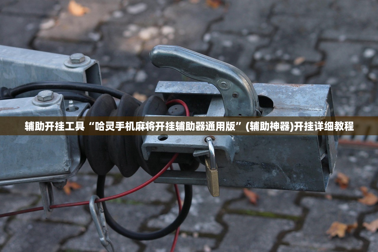 玩家辅助神器：财神十三张开挂神器下载”开挂(透视)最新辅助详细