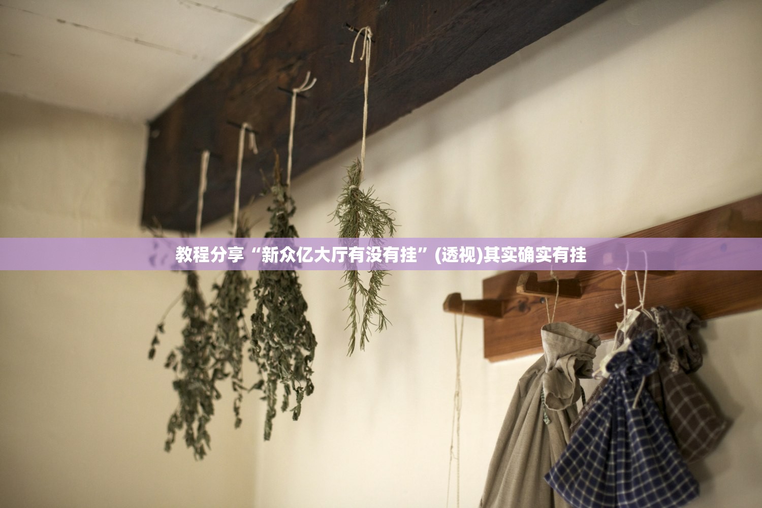 助赢神器“天虹互娱可以开挂吗”其实确实有挂