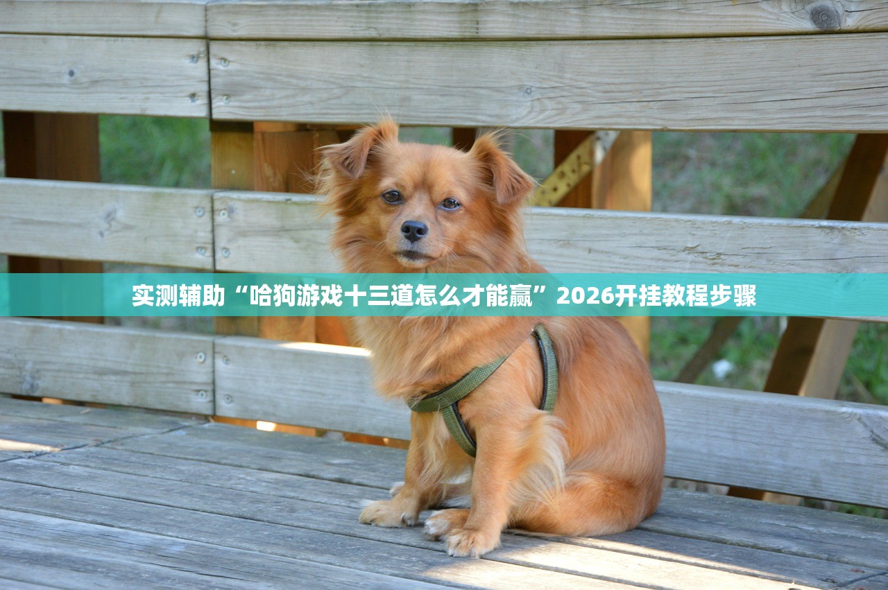 实测神器辅助“雀神广东麻将开挂方法”开挂(透视)辅助教程