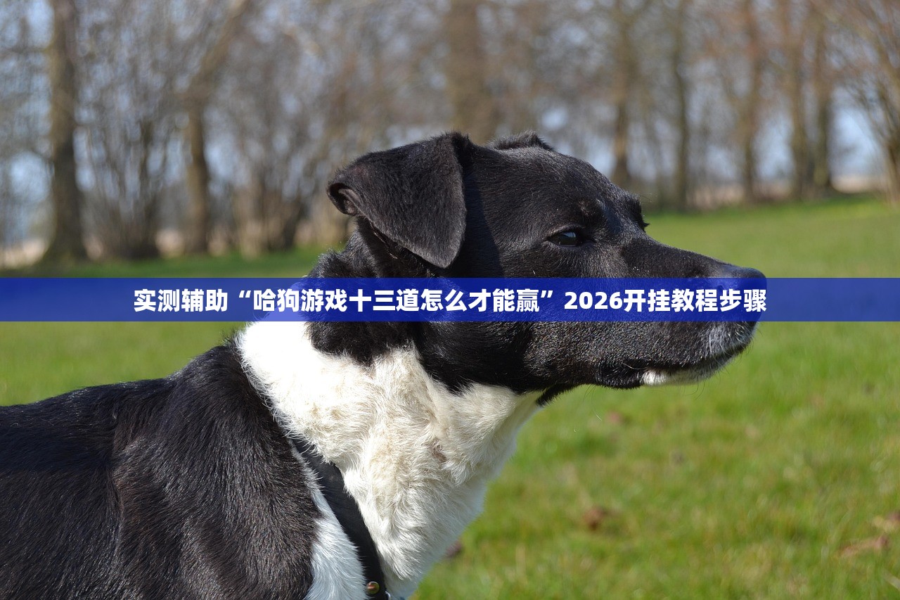 实测辅助“哈狗游戏十三道怎么才能赢”2026开挂教程步骤