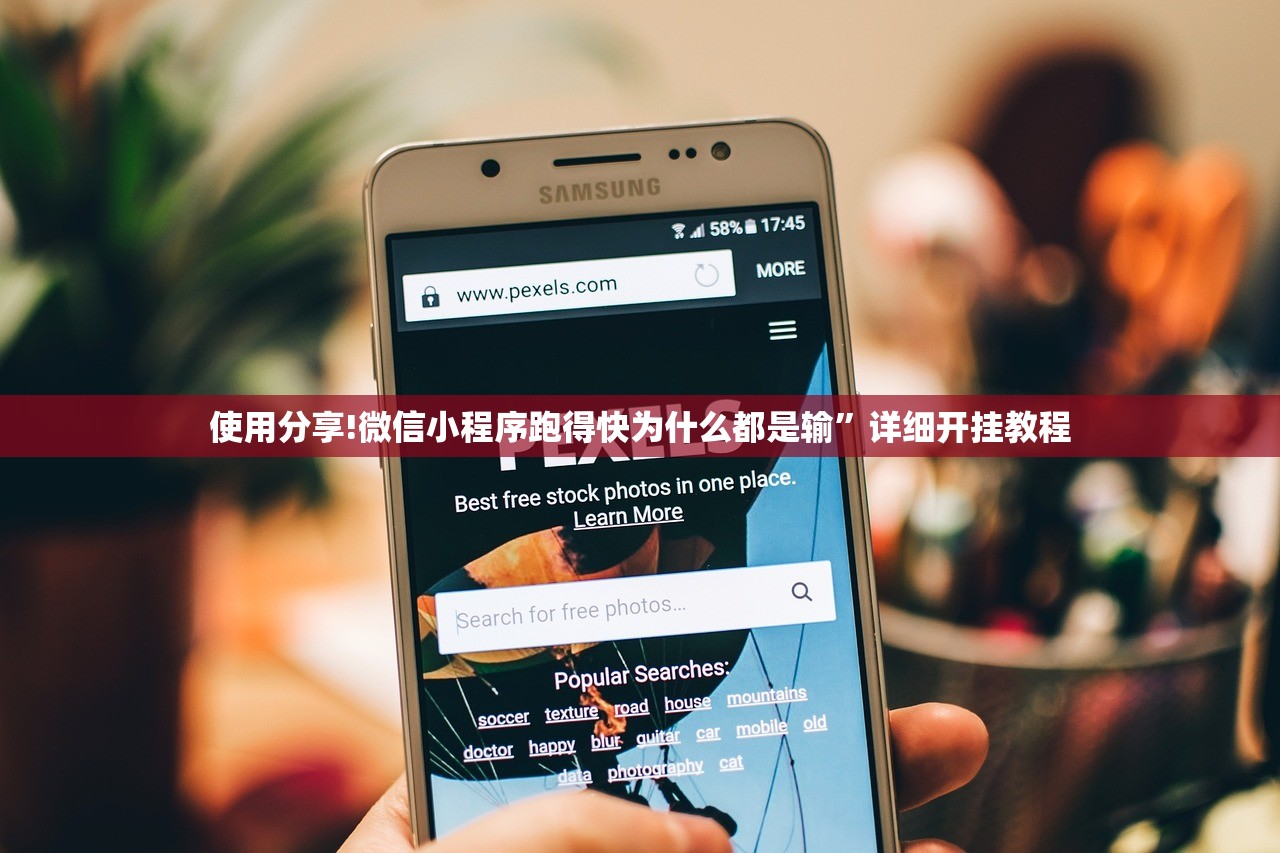 使用分享!微信小程序跑得快为什么都是输”详细开挂教程