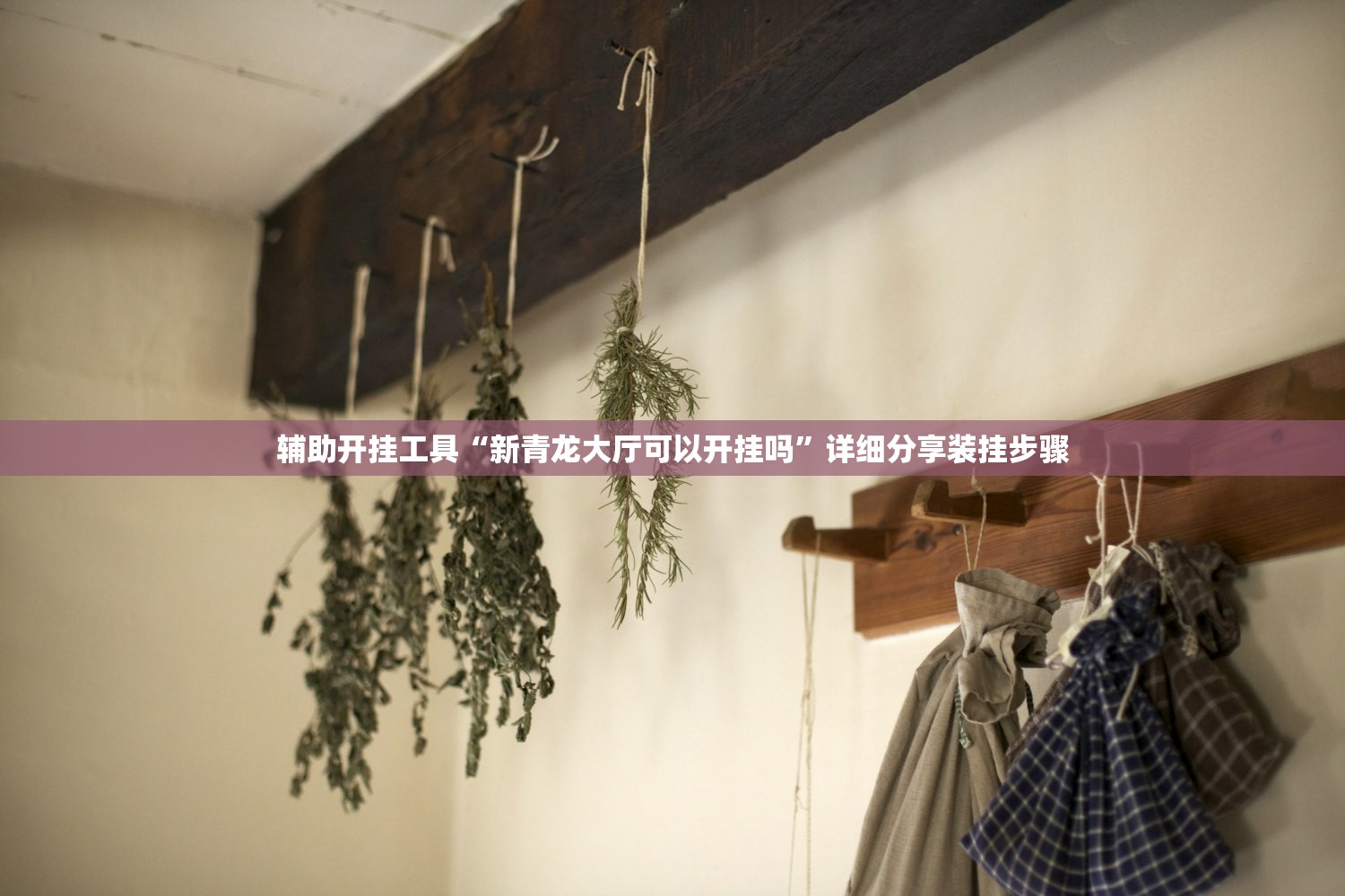 辅助开挂工具“新青龙大厅可以开挂吗”详细分享装挂步骤