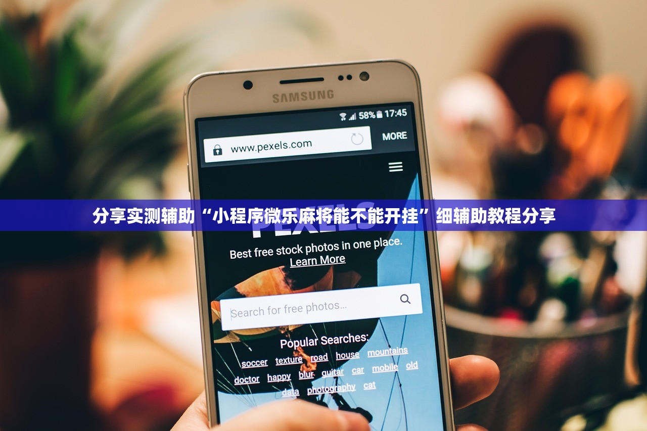 玩家必读“微乐免费房间怎么开挂”细辅助教程分享
