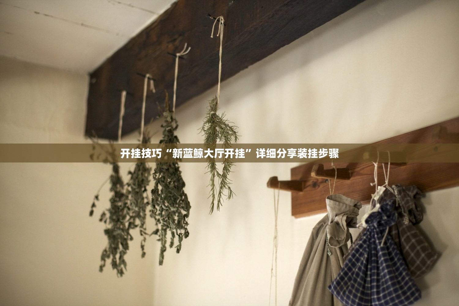 教程分享“衡阳丫丫竞技有挂吗”开挂(透视)辅助教程