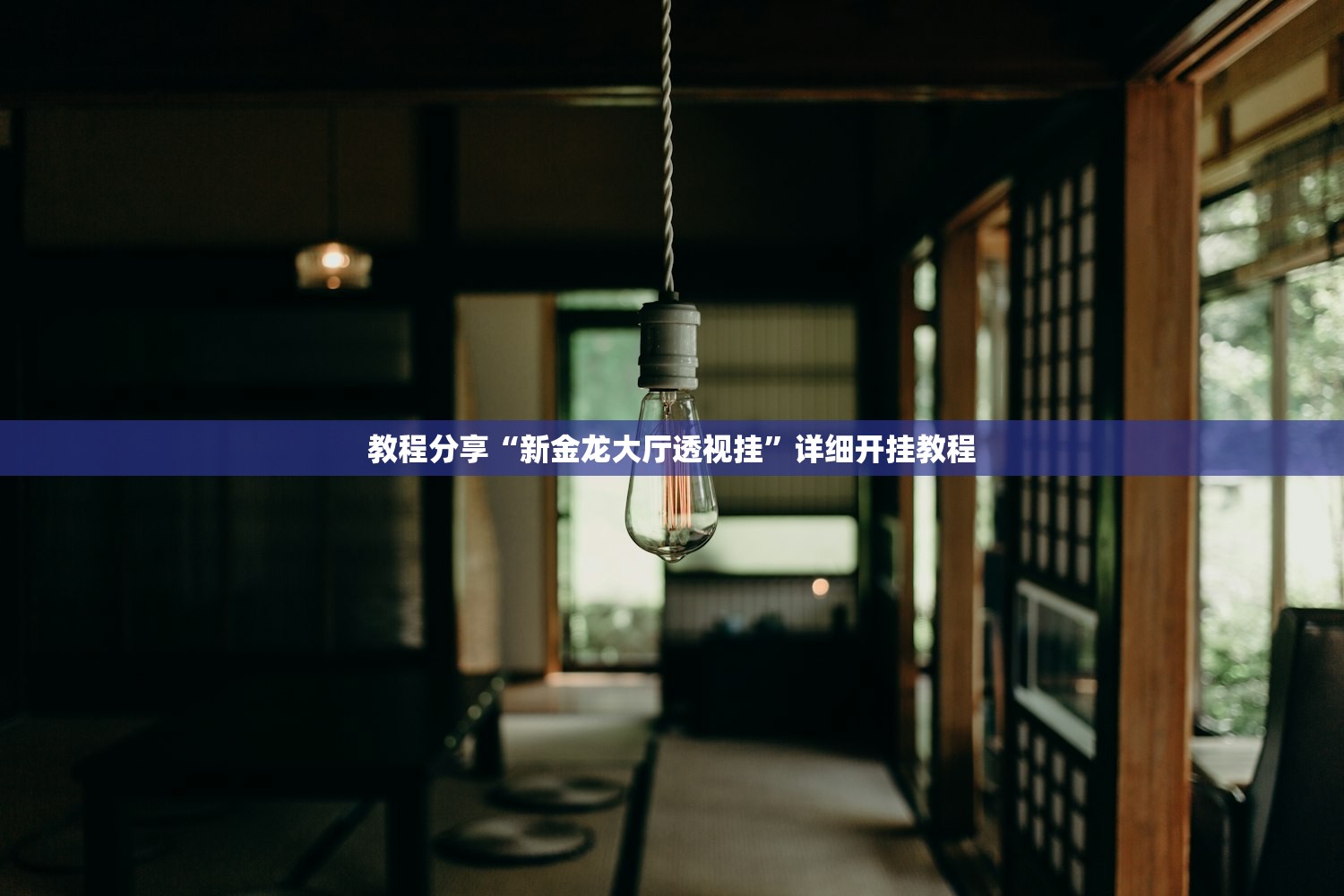 教程分享“新金龙大厅透视挂”详细开挂教程