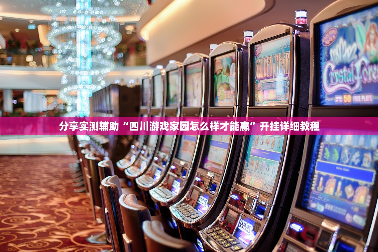 分享实测辅助“四川游戏家园怎么样才能赢”开挂详细教程