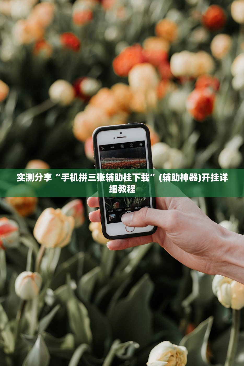实测分享“手机拼三张辅助挂下载”(辅助神器)开挂详细教程