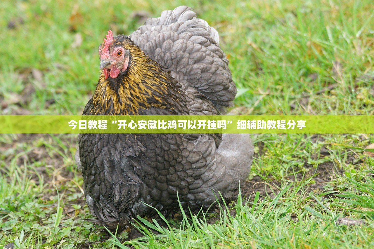 可用版本“微信家乡大贰开挂辅助器通用版”(辅助神器)开挂详细教程