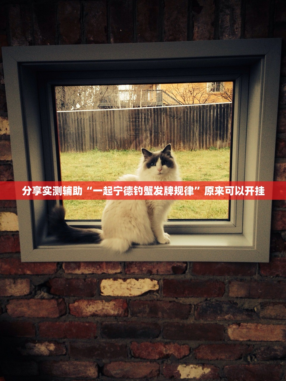 河北张家口2例确诊系夫妻/河北张家口疑似病例