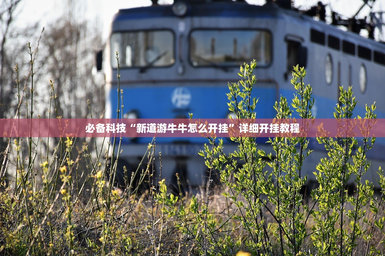 必备科技“新道游牛牛怎么开挂”详细开挂教程