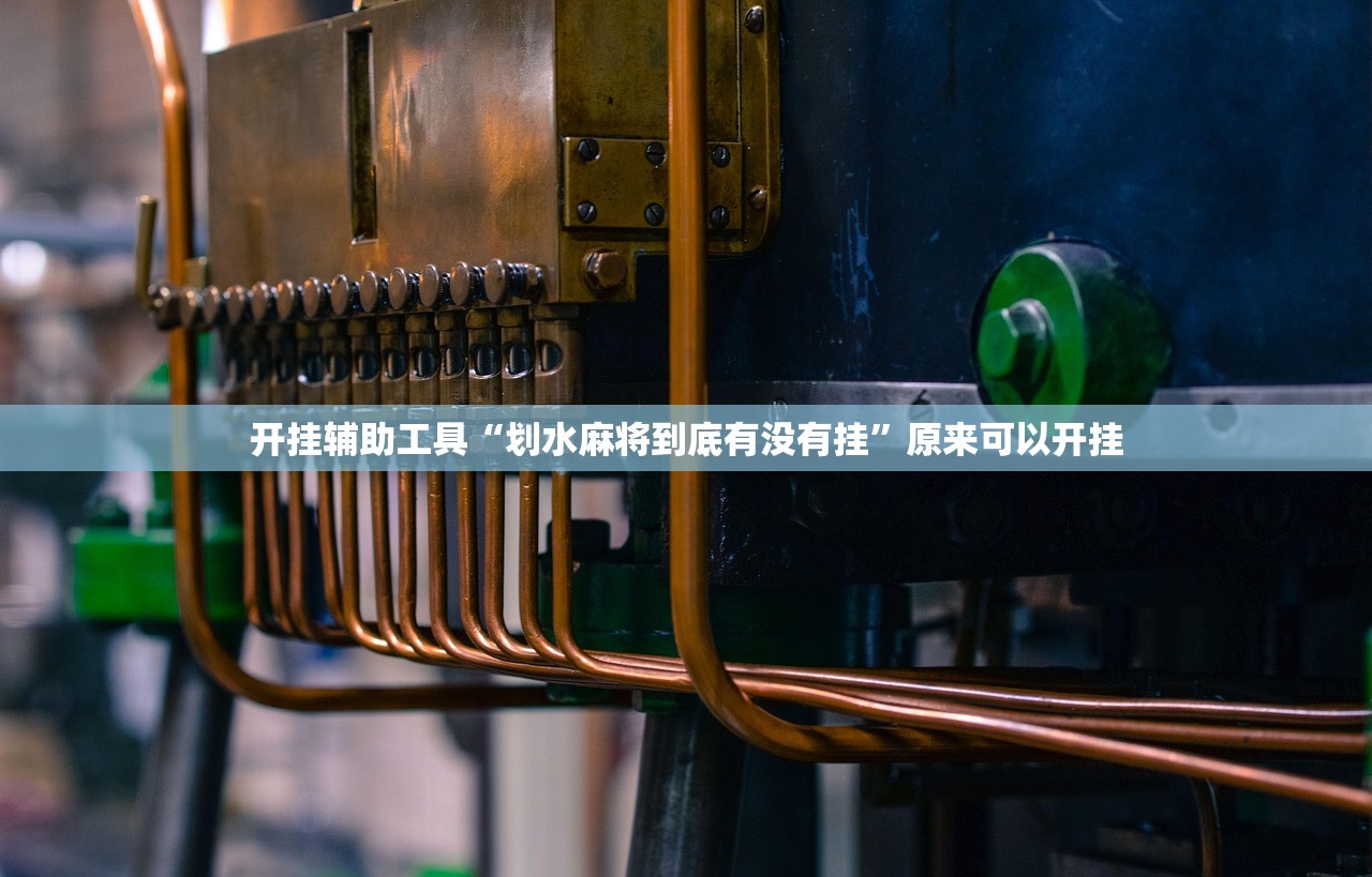 开挂辅助工具“划水麻将到底有没有挂	”原来可以开挂