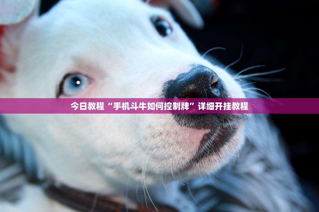 必备科技“手机微乐安徽麻将开挂辅助器通用版”开挂(透视)辅助教程
