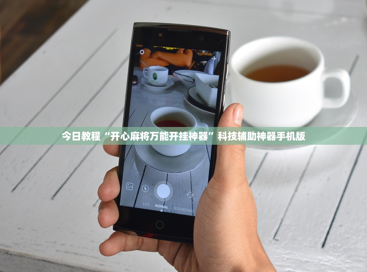 高尔夫保养灯归零方法:高尔夫保养灯归零方法视频