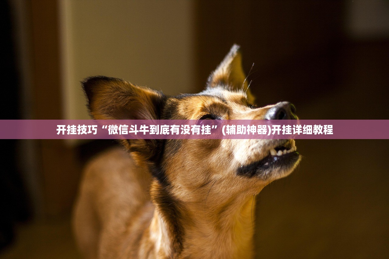开挂技巧“微信斗牛到底有没有挂”(辅助神器)开挂详细教程