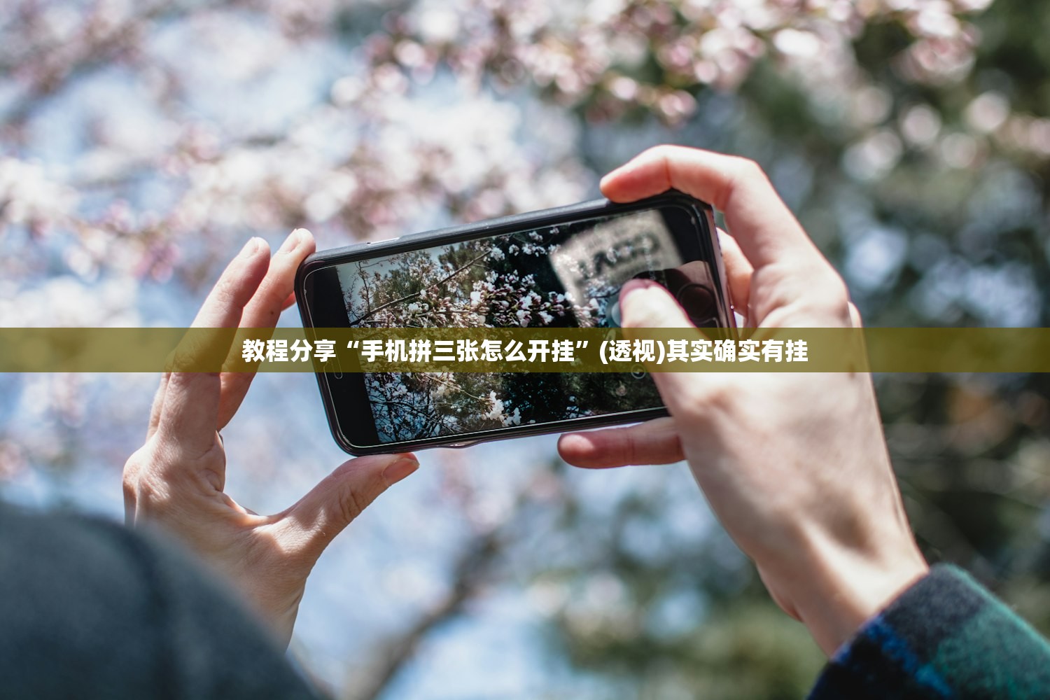 教程分享“手机拼三张怎么开挂”(透视)其实确实有挂