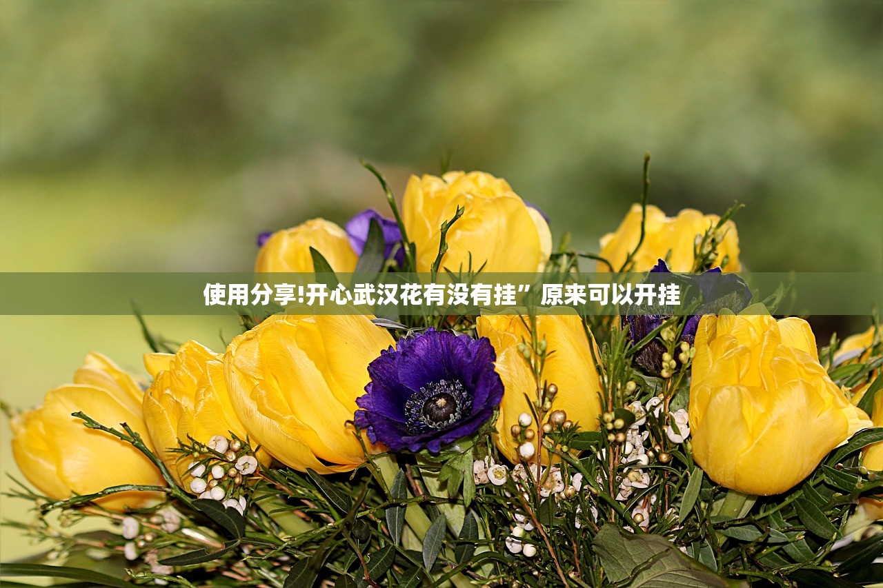 使用分享!开心武汉花有没有挂	”原来可以开挂