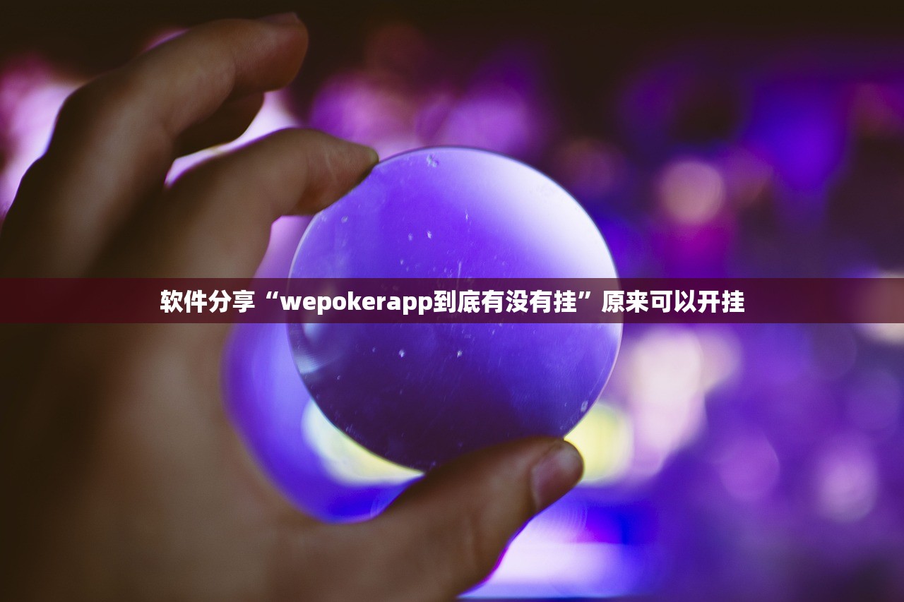 关于911费用的信息